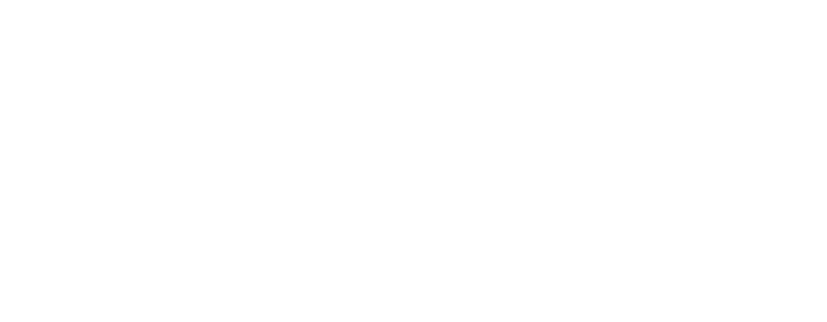 VDK Group